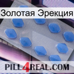 Золотая Эрекция 21